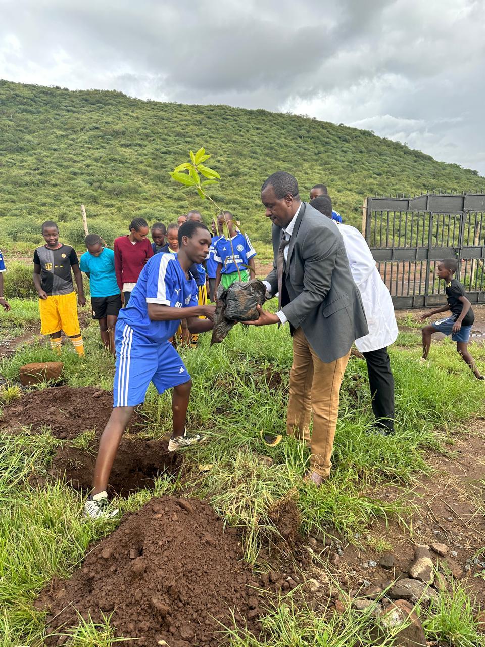 Tree Planting Activity